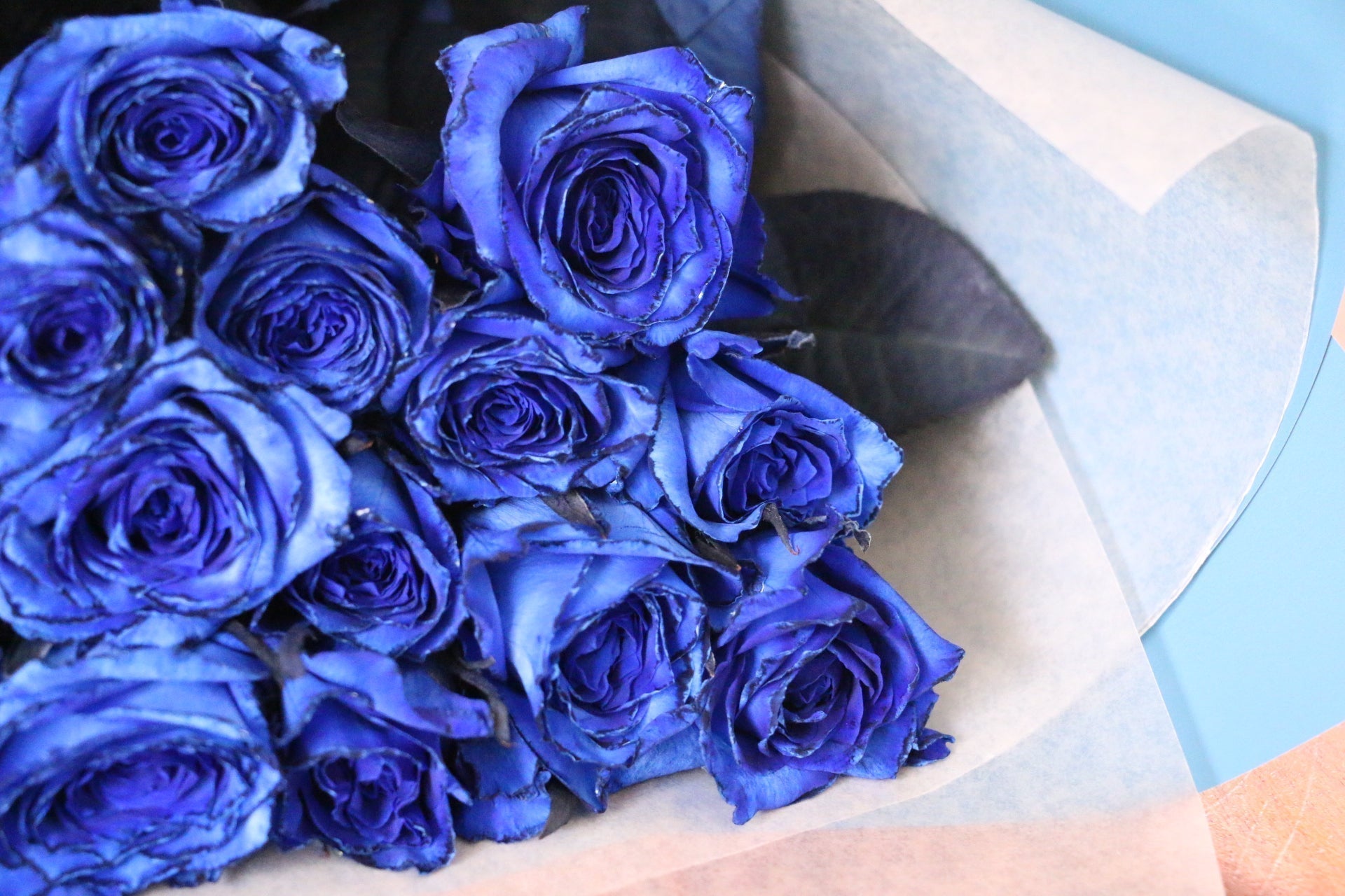 青い薔薇の花言葉が劇変した理由！怖い意味の真相や本数別の意味を徹底解説