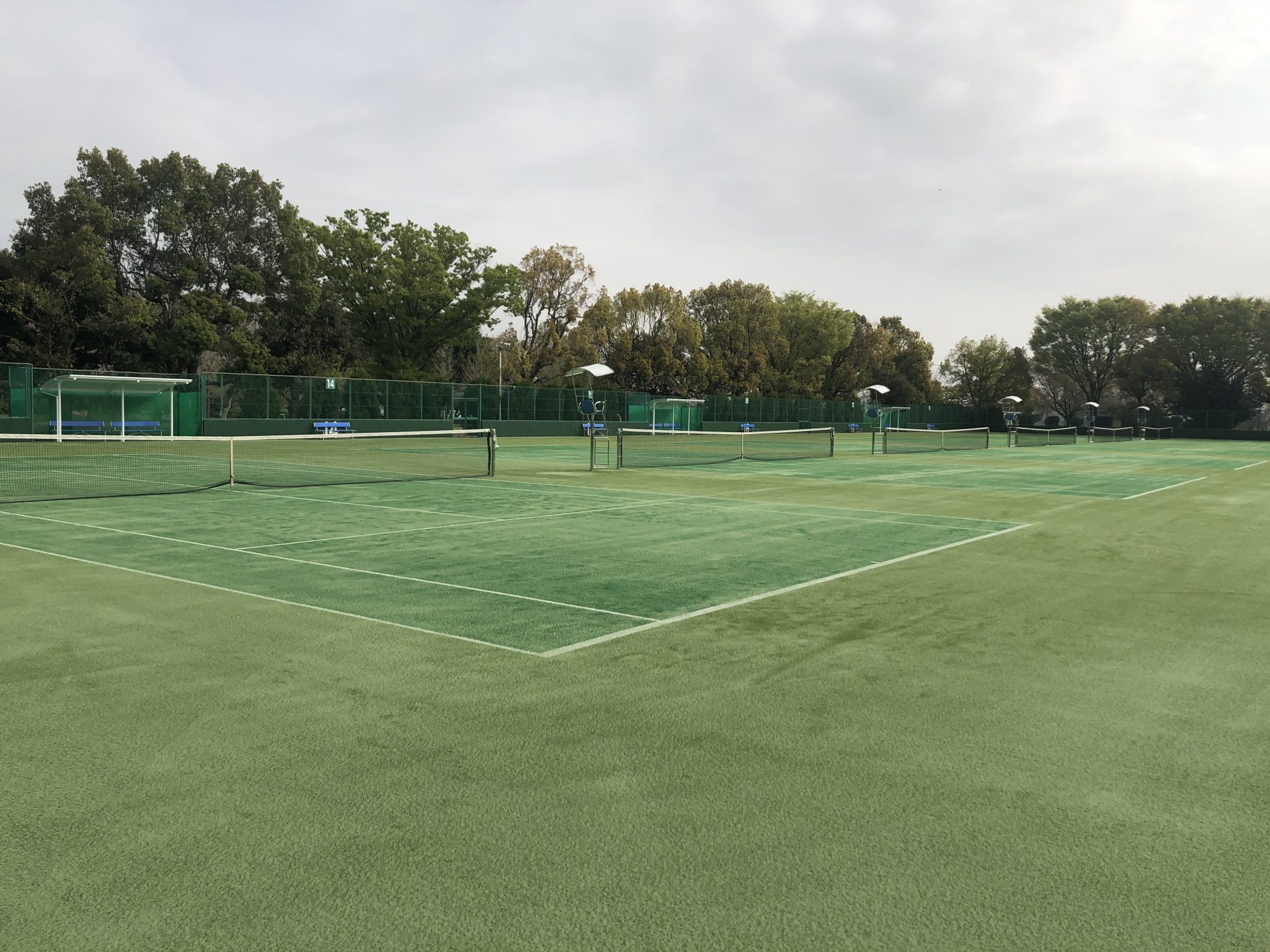 熊谷さくら運動公園の現在地！プール再開や桜2026・混雑を徹底検証