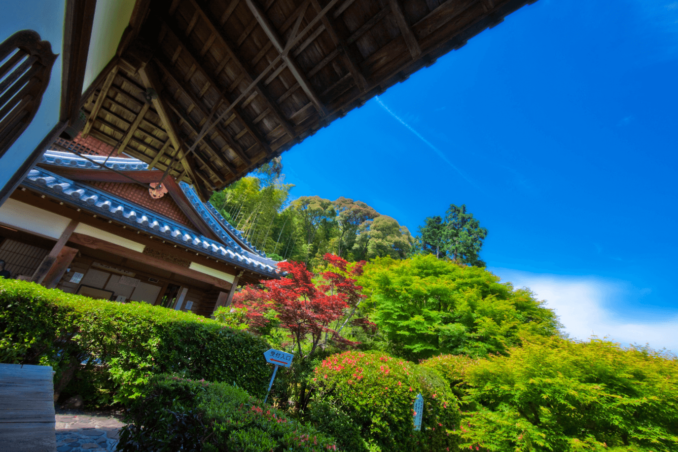 なぜ鈴虫寺は願いが叶うのか？草鞋地蔵の秘密と2026年最新参拝術