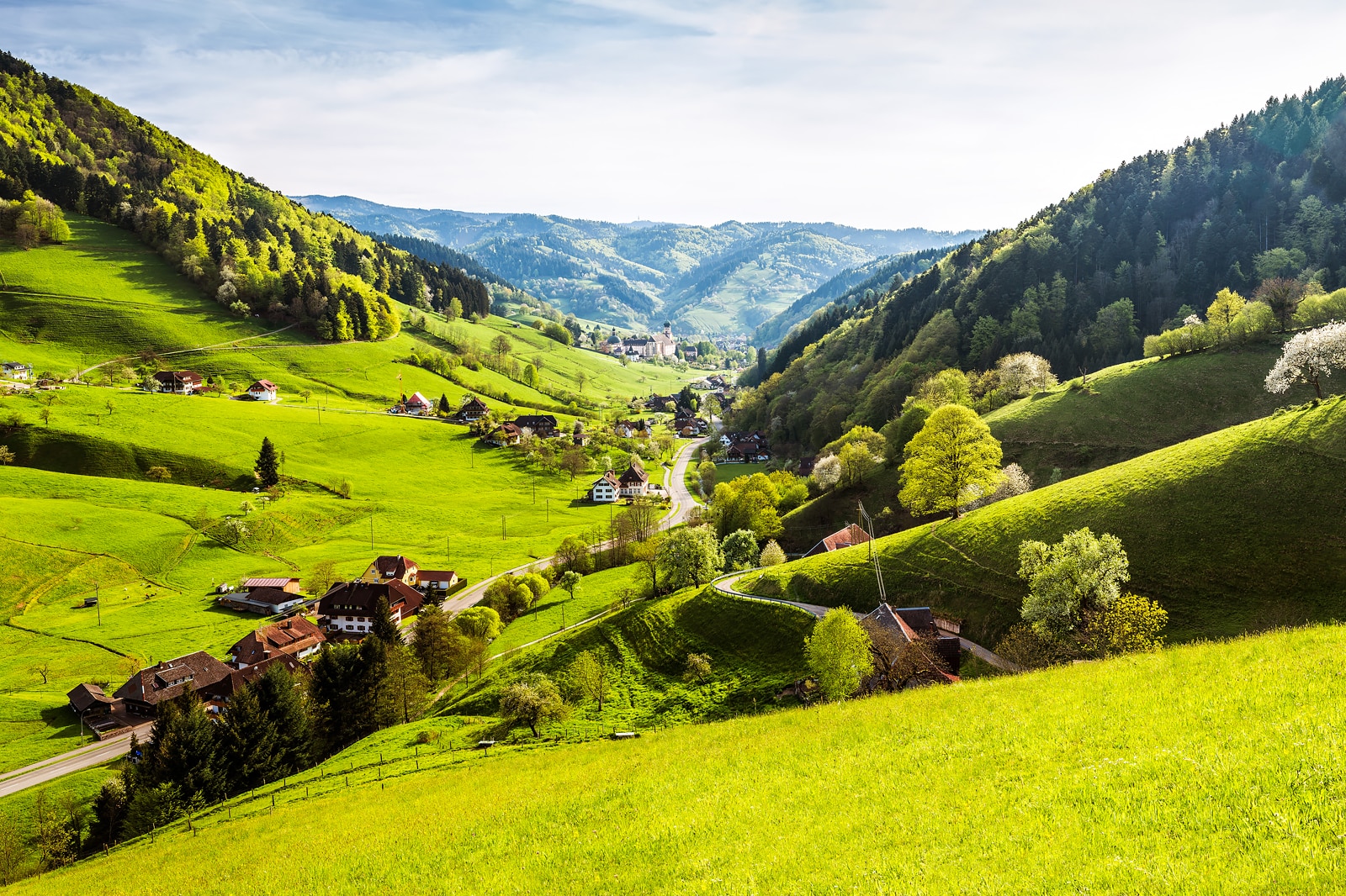 Why Is It Called the Black Forest in Germany