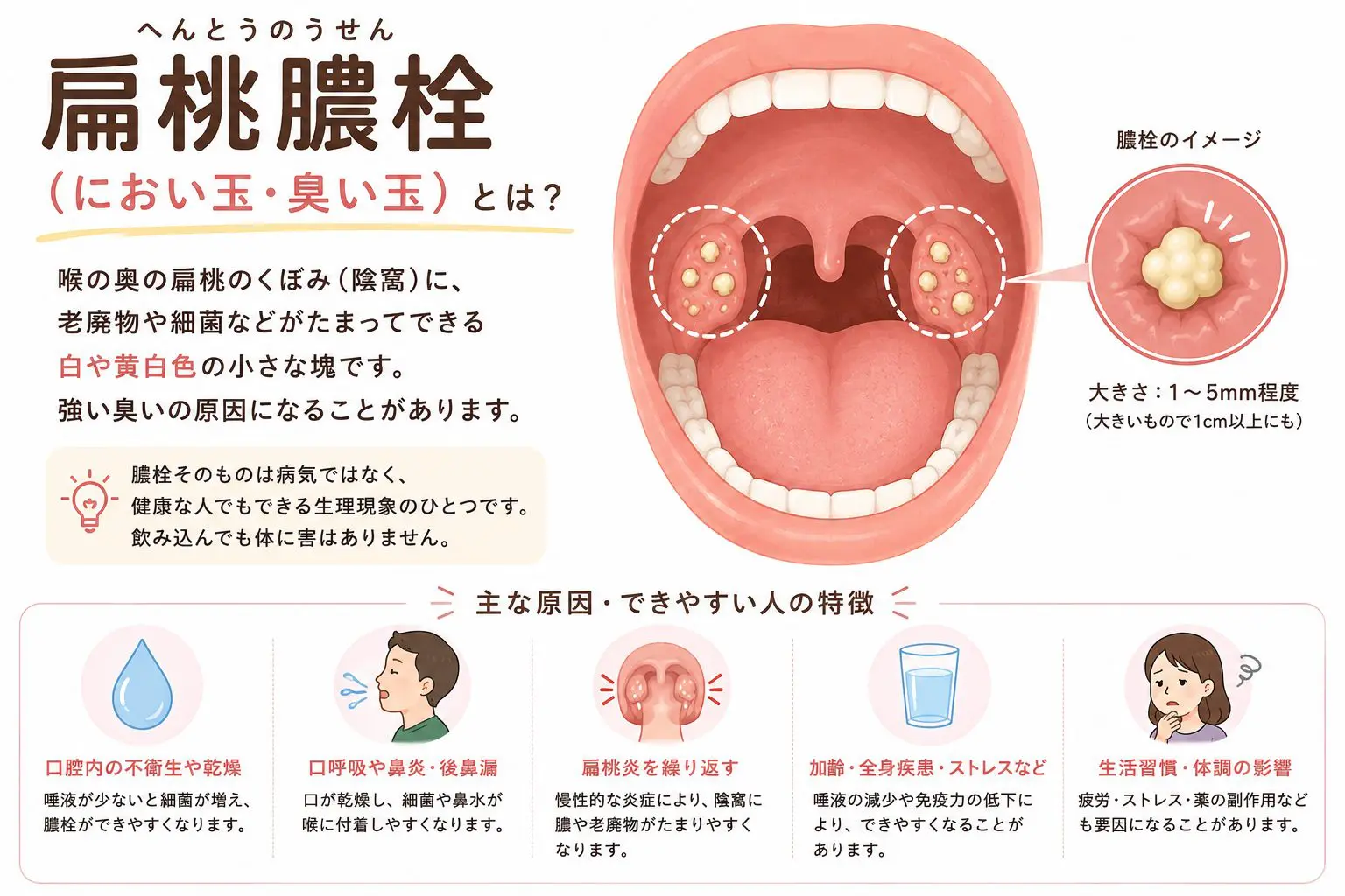 臭い玉の正しい取り方と耳鼻科の除去費用｜綿棒Ngの理由と放置リスク
