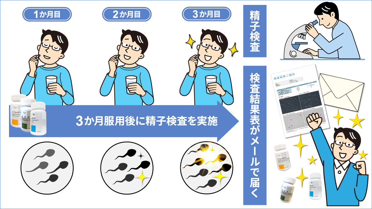 精子提供のタイミング法で妊娠率を上げる秘訣と失敗しない最新知識