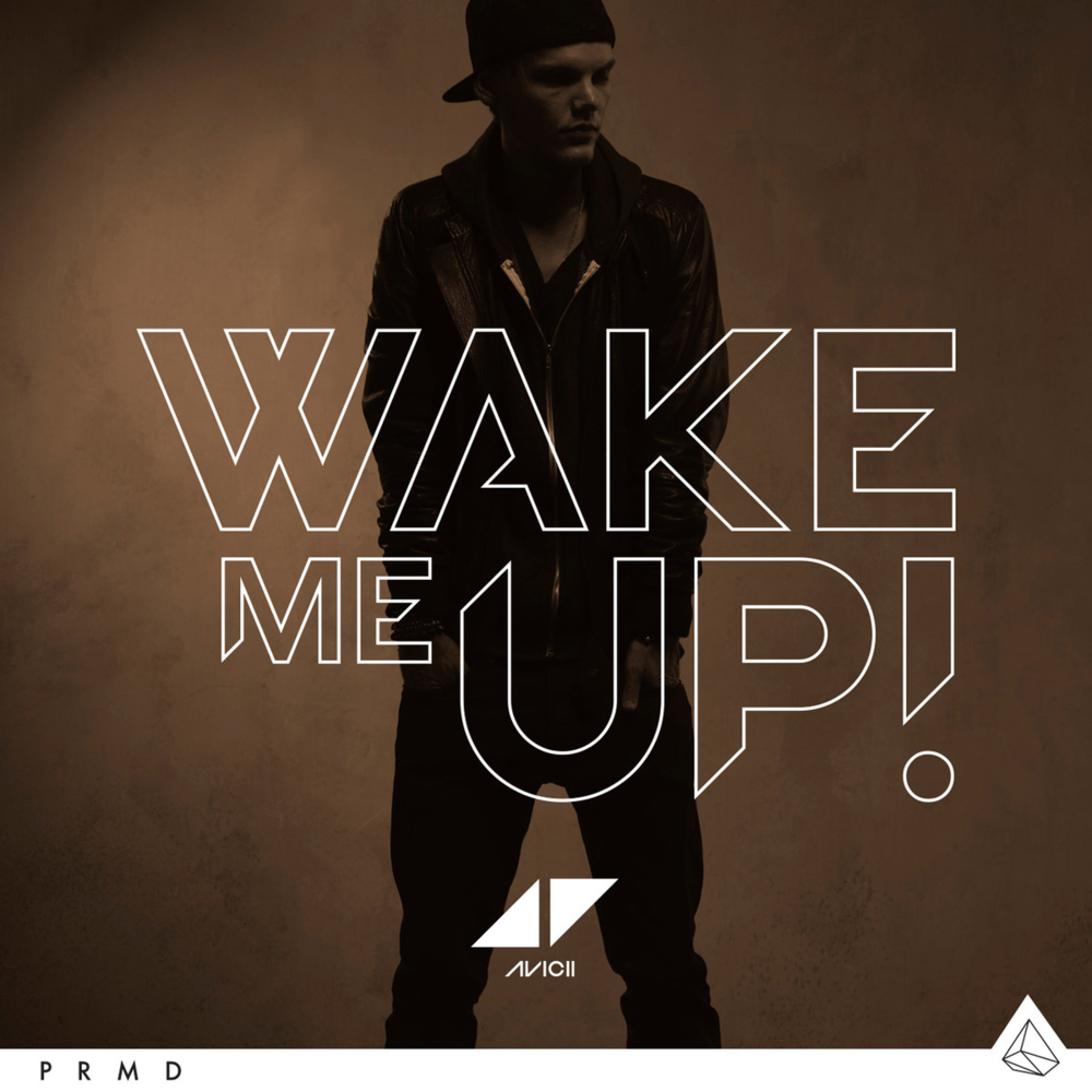 Avicii『Wake Me Up』歌詞和訳と誕生秘話｜ヒットの真相