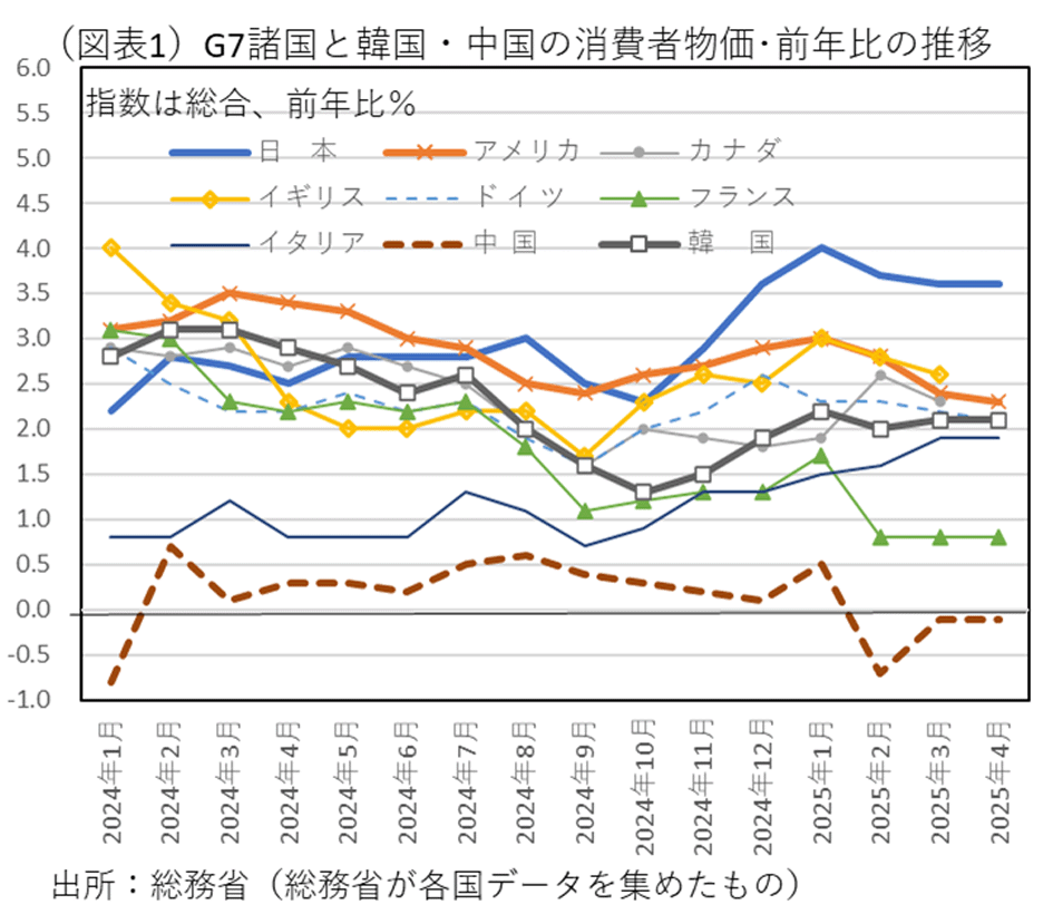 物価高と異常気象に勝つ！2026年最新の玉ねぎ栽培ガイド：失敗しない植え付けの極意