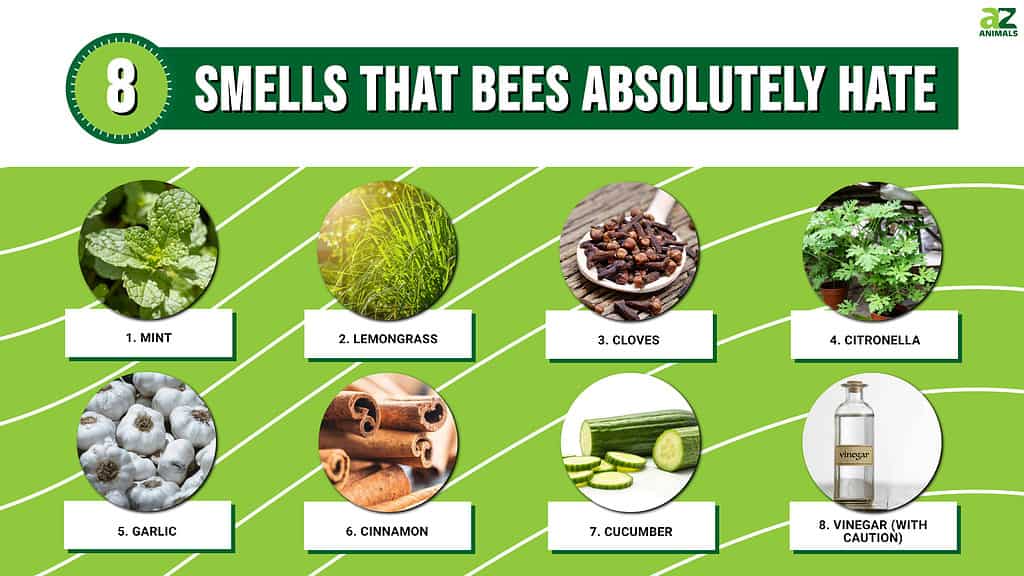 What Scents Do Bees Not Like