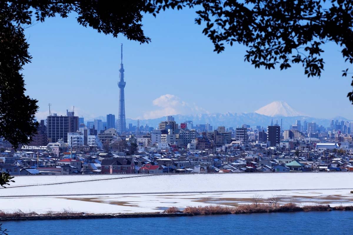 市川実日子と加瀬亮が魅せる独自の空気感、熱愛説と再共演の真相