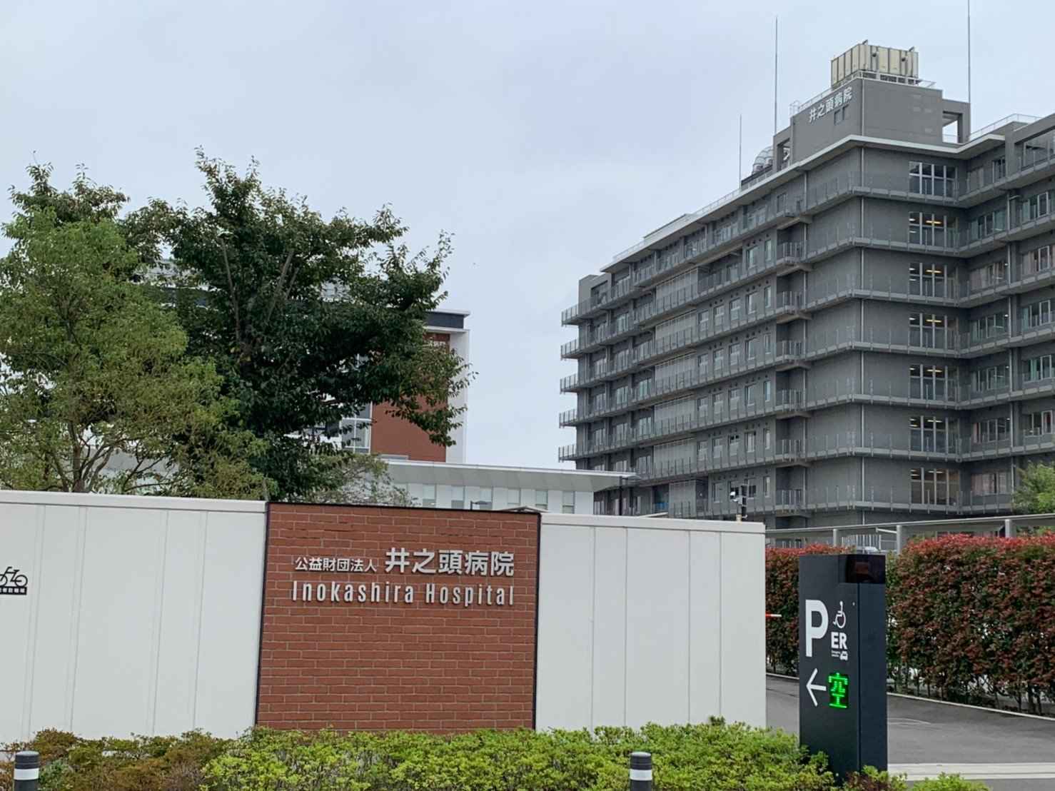 井之頭病院の評判と口コミの真相｜初診予約や待ち時間・精神科の実態