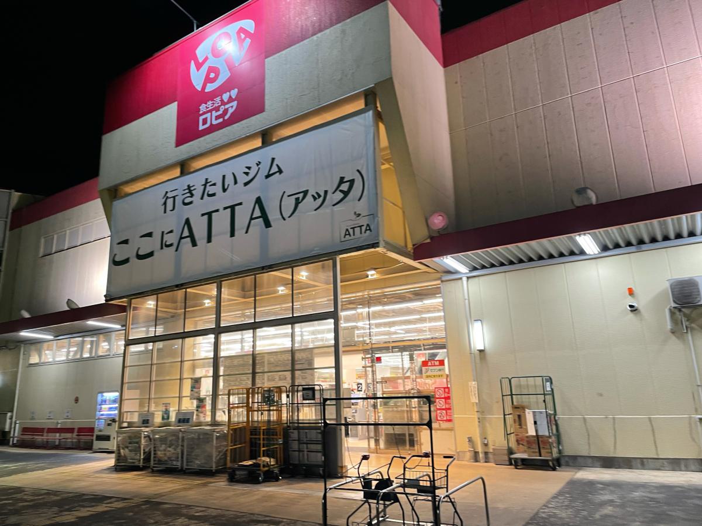 ロピア綾瀬店が熱狂的人気を誇る理由｜営業時間・特売チラシと注意点