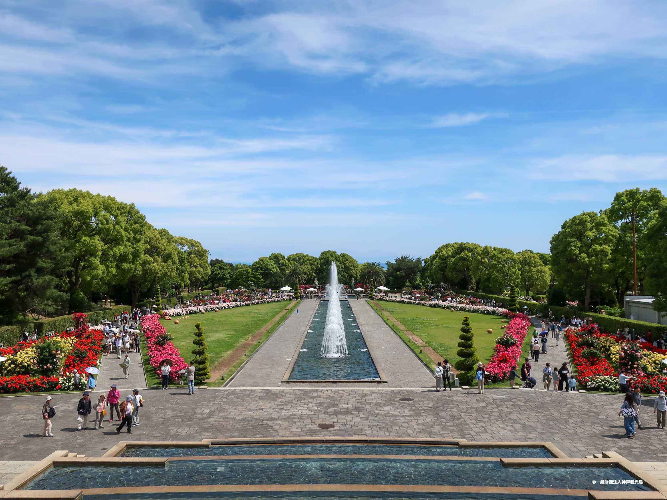 神戸須磨離宮公園の歩き方2026｜バラ見頃・紅葉と混雑回避の極意