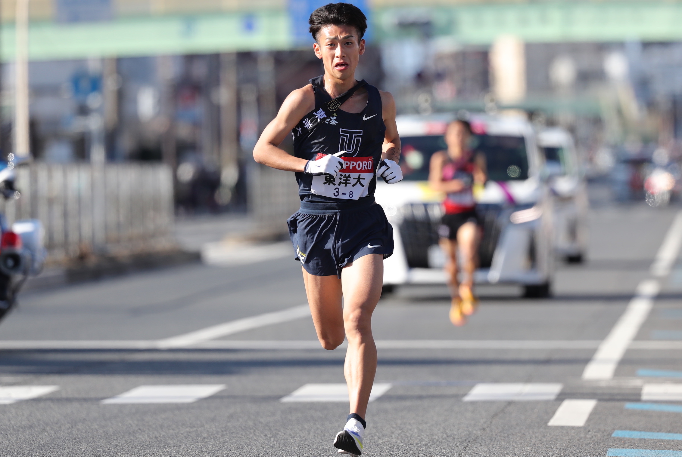 蝦夷の森に潜む原生林の真実！生態系と歴史的背景を完全解剖【2026】