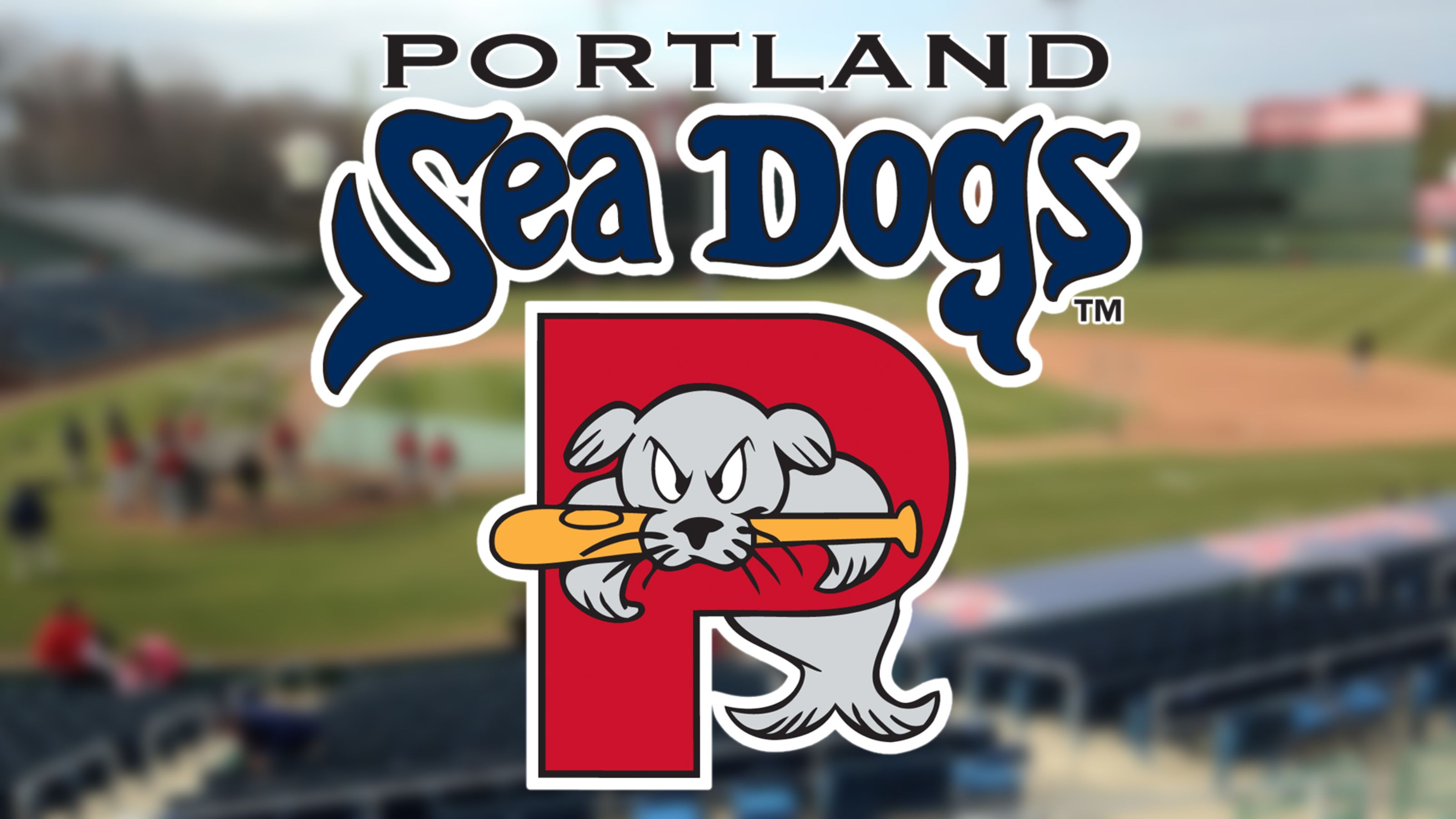 Portland Sea Dogs Bag Policy