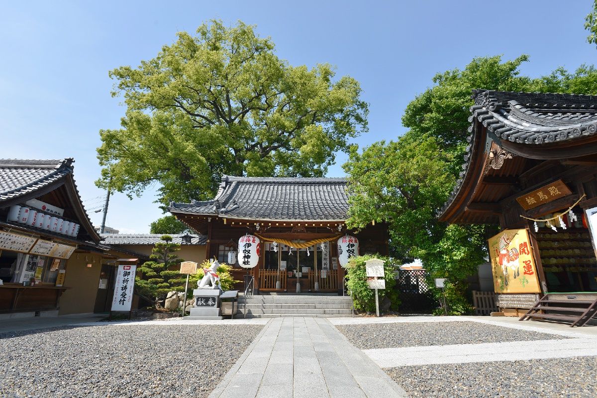 名古屋の伊奴神社が愛犬家や安産で話題の理由！犬の王伝説と参拝ガイド