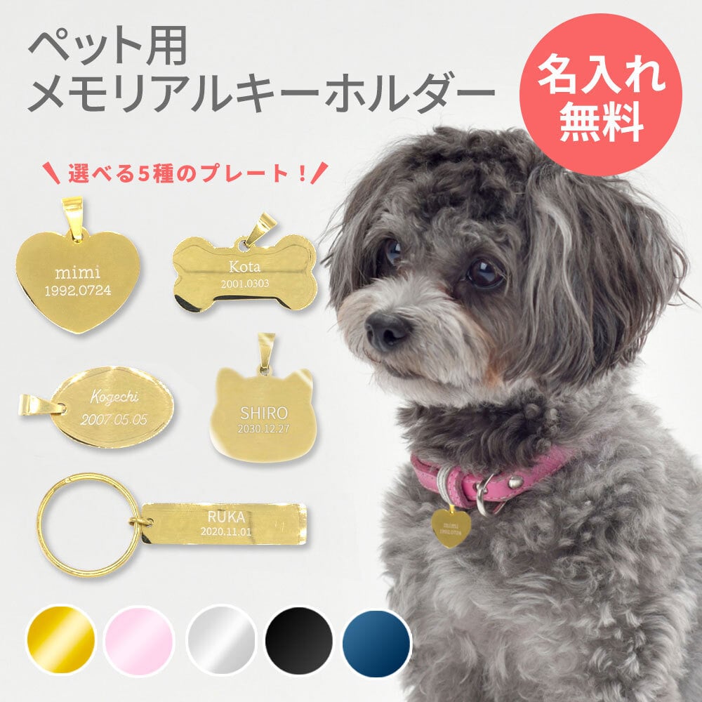犬の迷子札で命を守る！マイクロチップとの違いと愛犬に優しい選び方