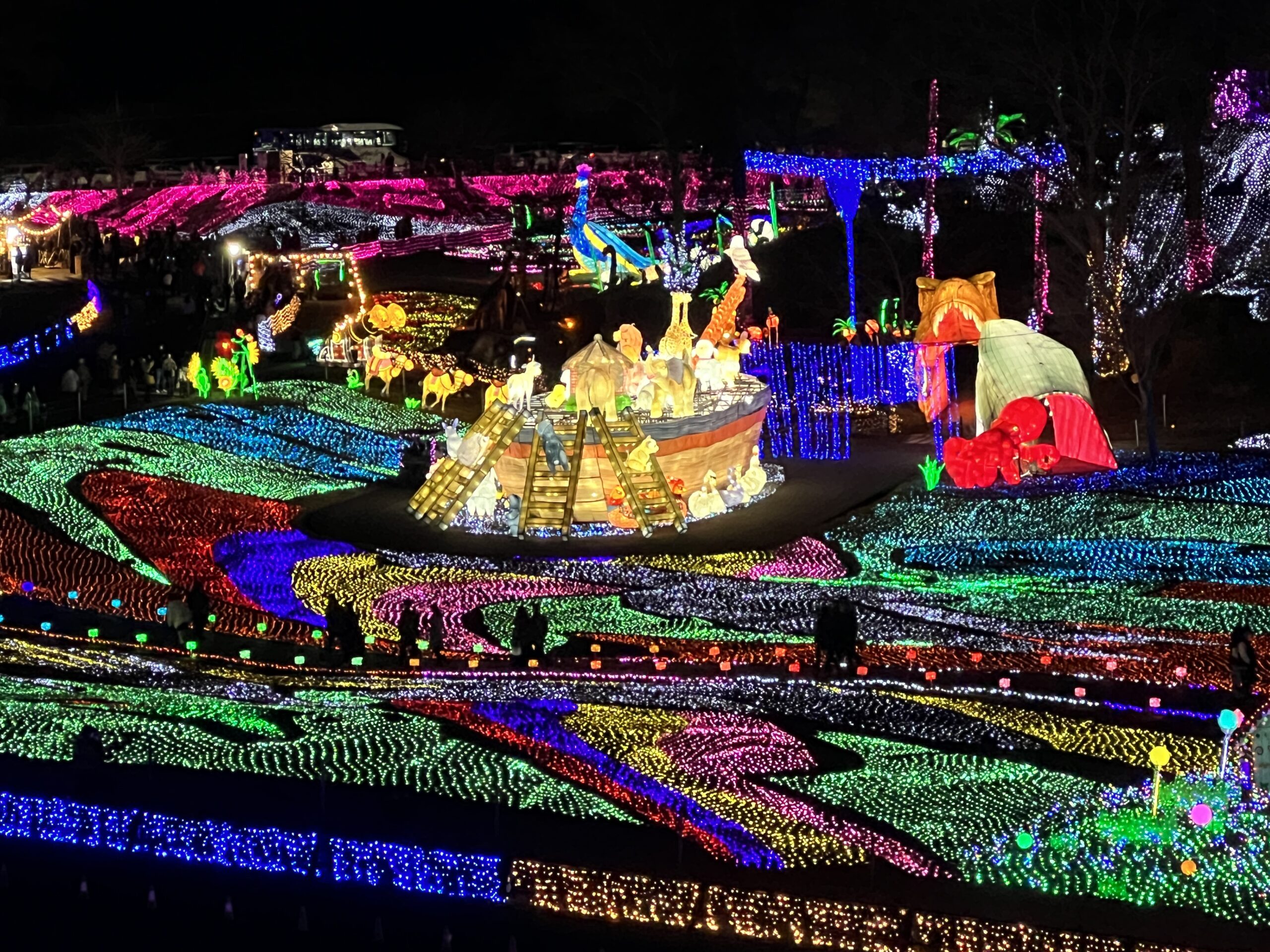 東京ドイツ村イルミネーション2026｜混雑回避と光の地上絵の真相を徹底解説