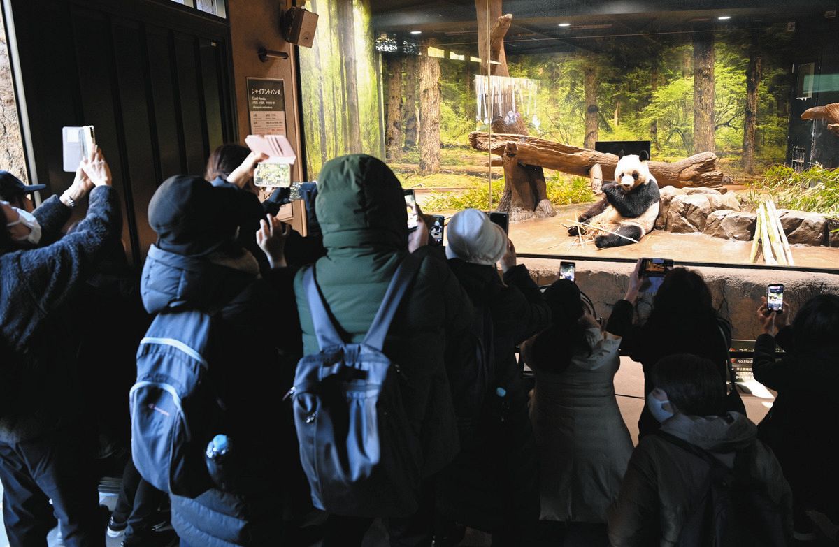 パンダに並ぶ時間は何分？上野動物園の待ち時間と最短攻略法【2026】