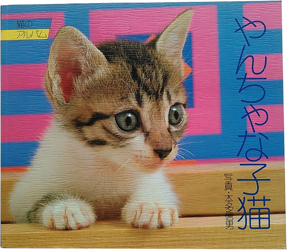 やんちゃな子猫が暴れる理由は？噛み癖対策と落ち着く時期を徹底解説