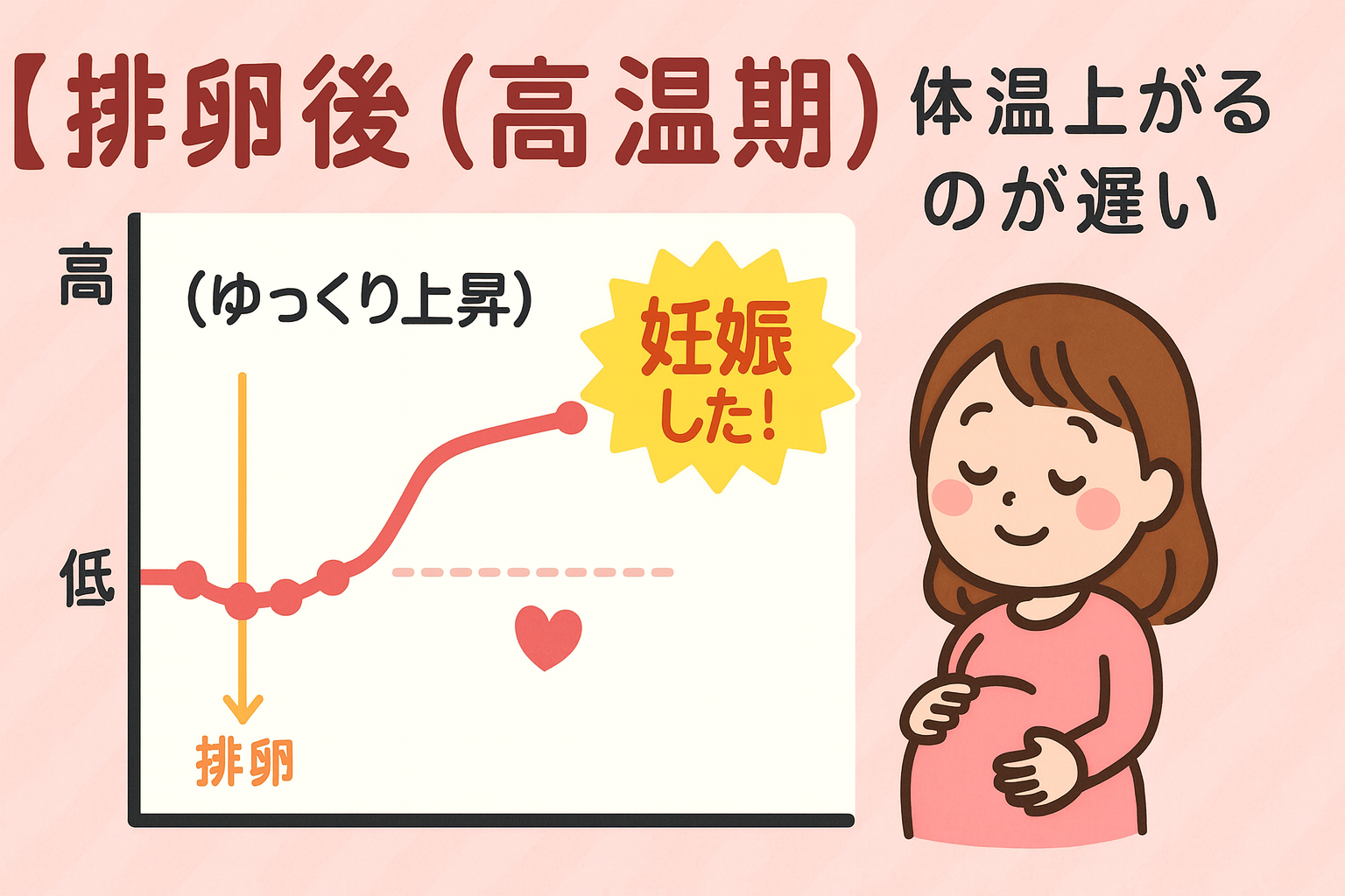 排卵後に体温が上がるのが遅い真相｜妊娠への影響と黄体機能の判断基準