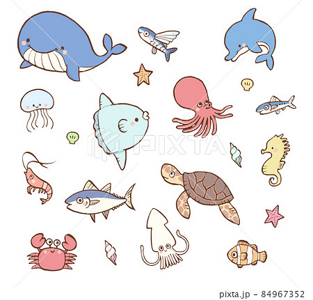 【2026最新】 かわいい 海 の 生き物 イラスト 最新ファイル＆画像まとめ #769