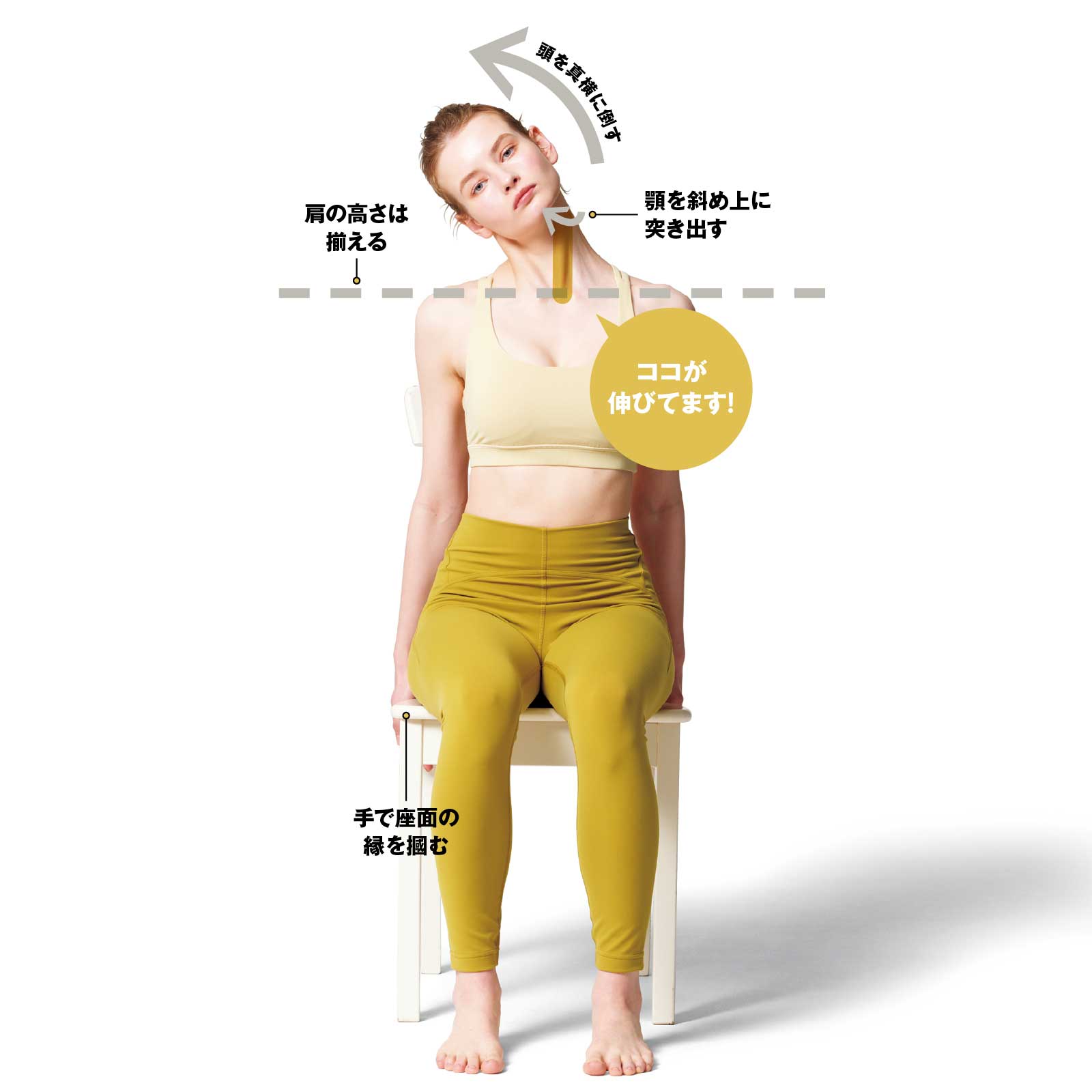 胸鎖乳突筋の正しい鍛え方とは？美しい横顔と首こり解消の極意