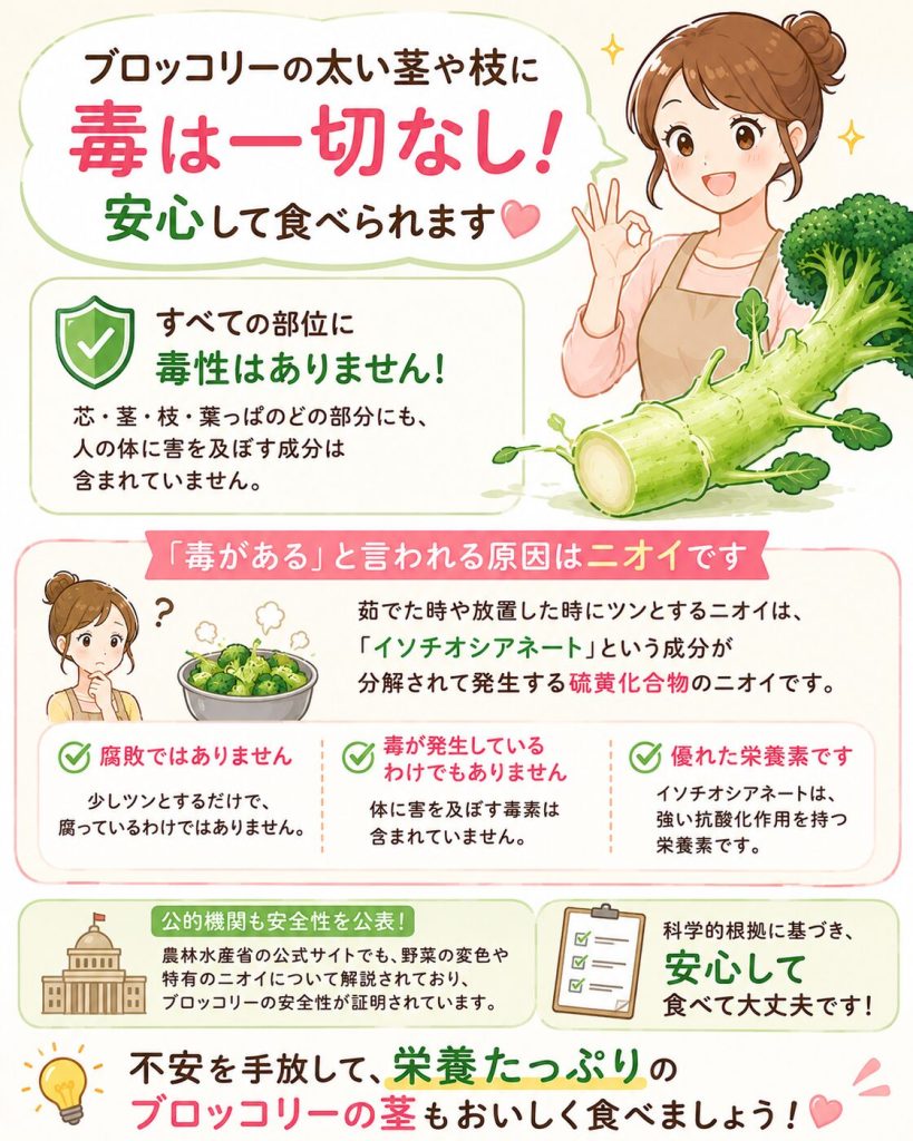ブロッコリーの茎に毒はある？生食の危険性や変色の正体を徹底検証