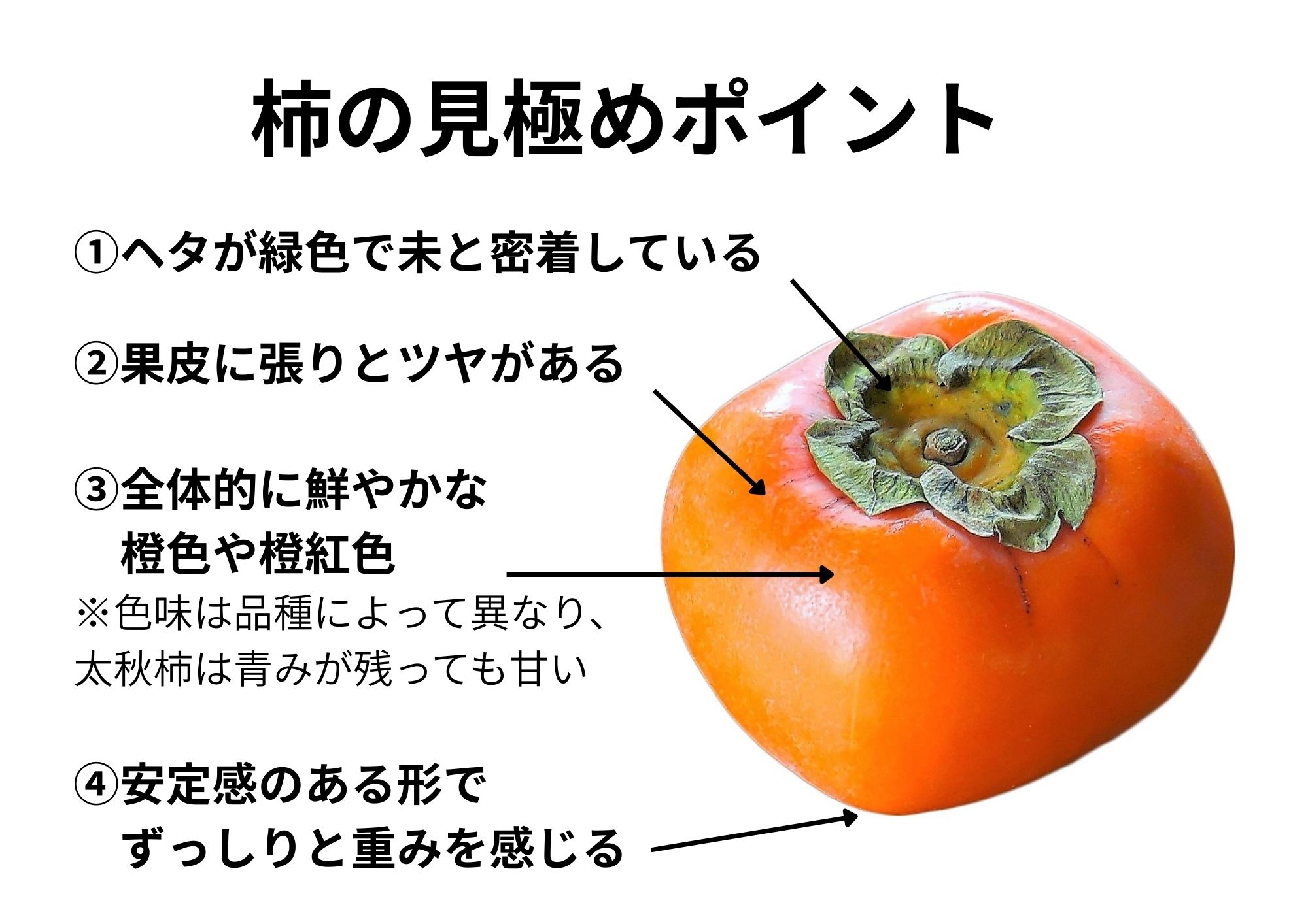 スーパーで失敗しない甘い柿の見分け方！ヘタと果皮で見抜く極意
