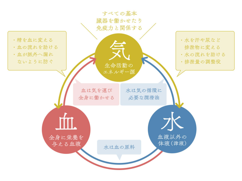 加味逍遙散の効果と副作用の真相！更年期や自律神経の悩みを徹底検証