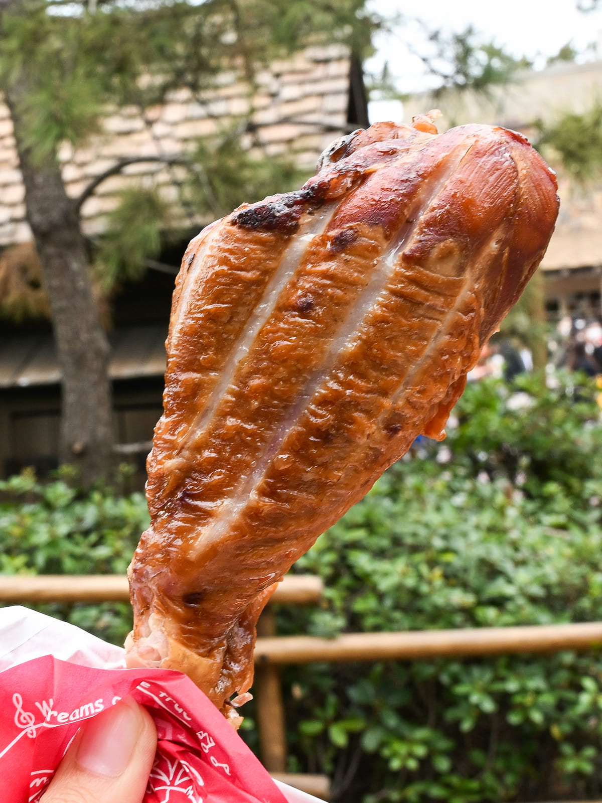 ディズニーのターキーレッグ販売場所と値段！チキンとの違いを徹底比較