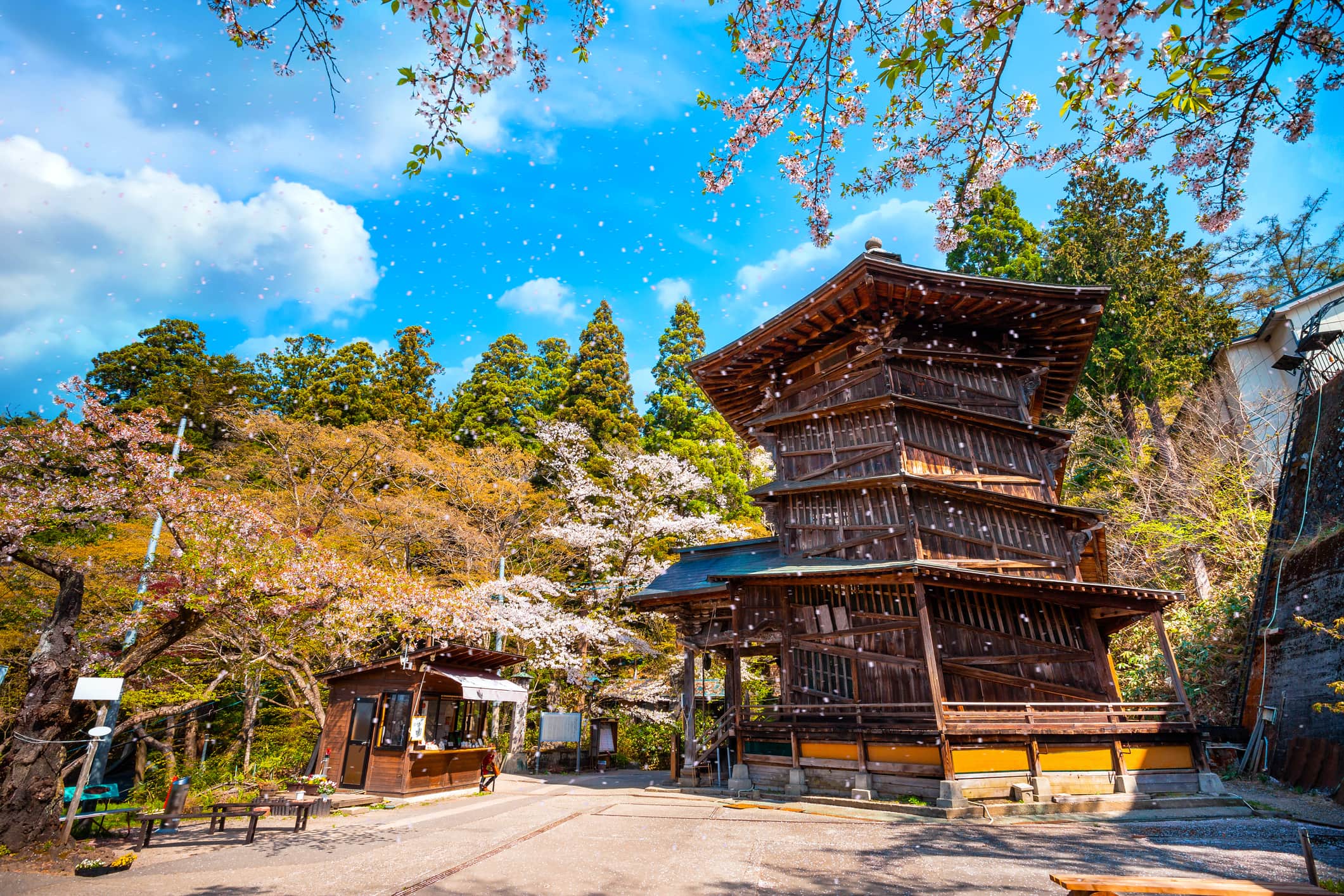 230年目の衝撃：会津「さざえ堂」が世界の建築界を揺るがす二重螺旋の謎と2026年の巡礼熱