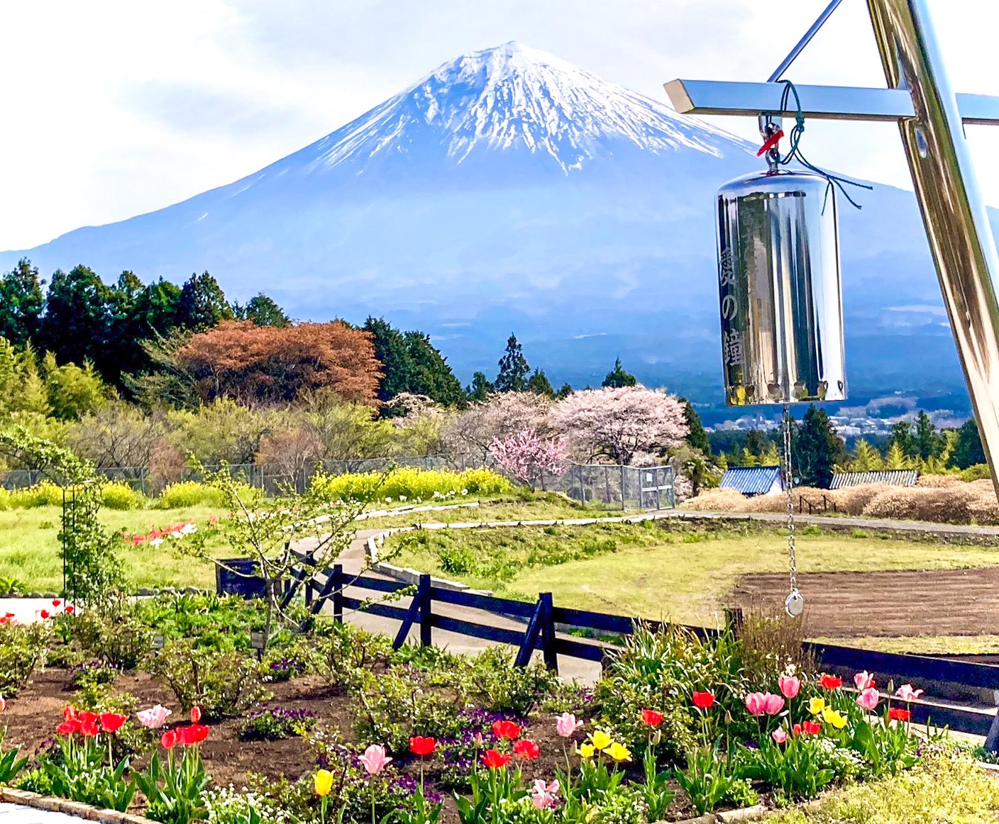 白糸自然公園が想像以上と絶賛の訳！富士山絶景と四季の花畑の真相