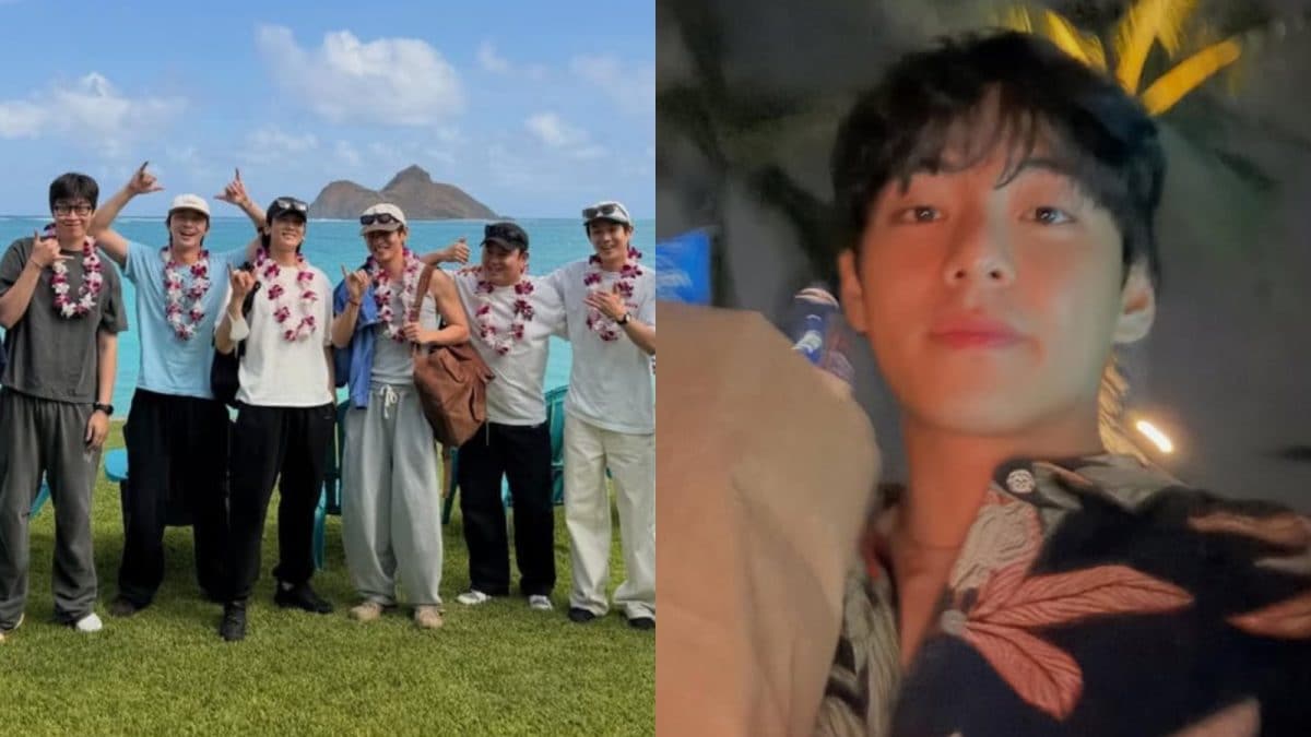 Bts v Park Seo-Joon Hawaii