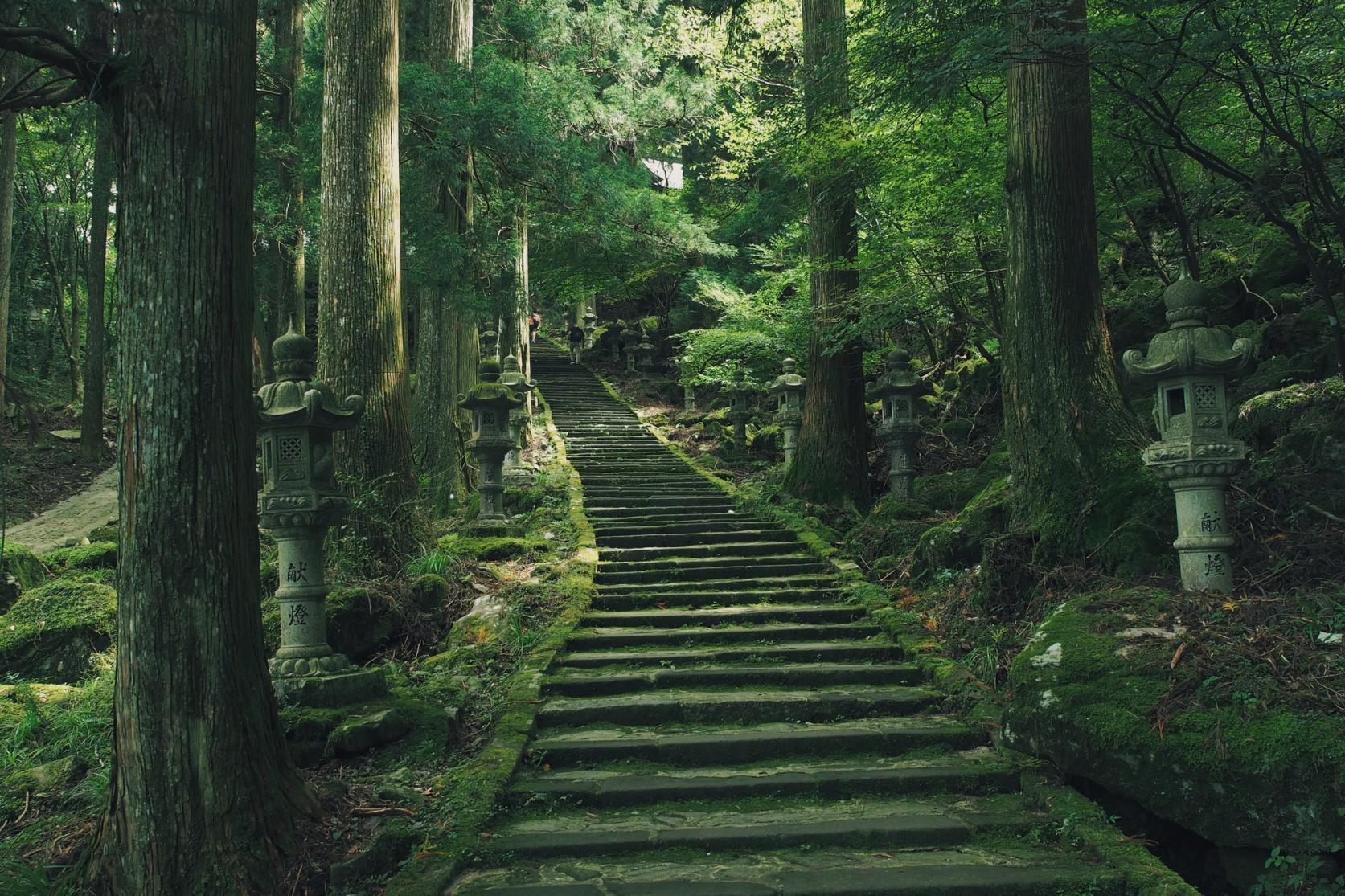 【2026年最新現地レポ】英彦山の奥に眠る天狗の聖地「高住神社」の静寂と、いま福岡で熱い視線を集める理由