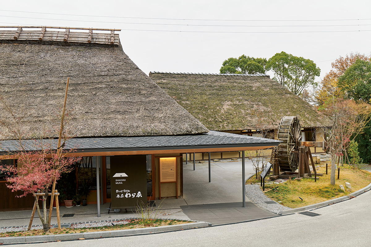 香川・屋島で圧倒的存在感を放つ老舗の正体——2026年、なぜ「わら や」のたらいうどんに人は熱狂し続けるのか？