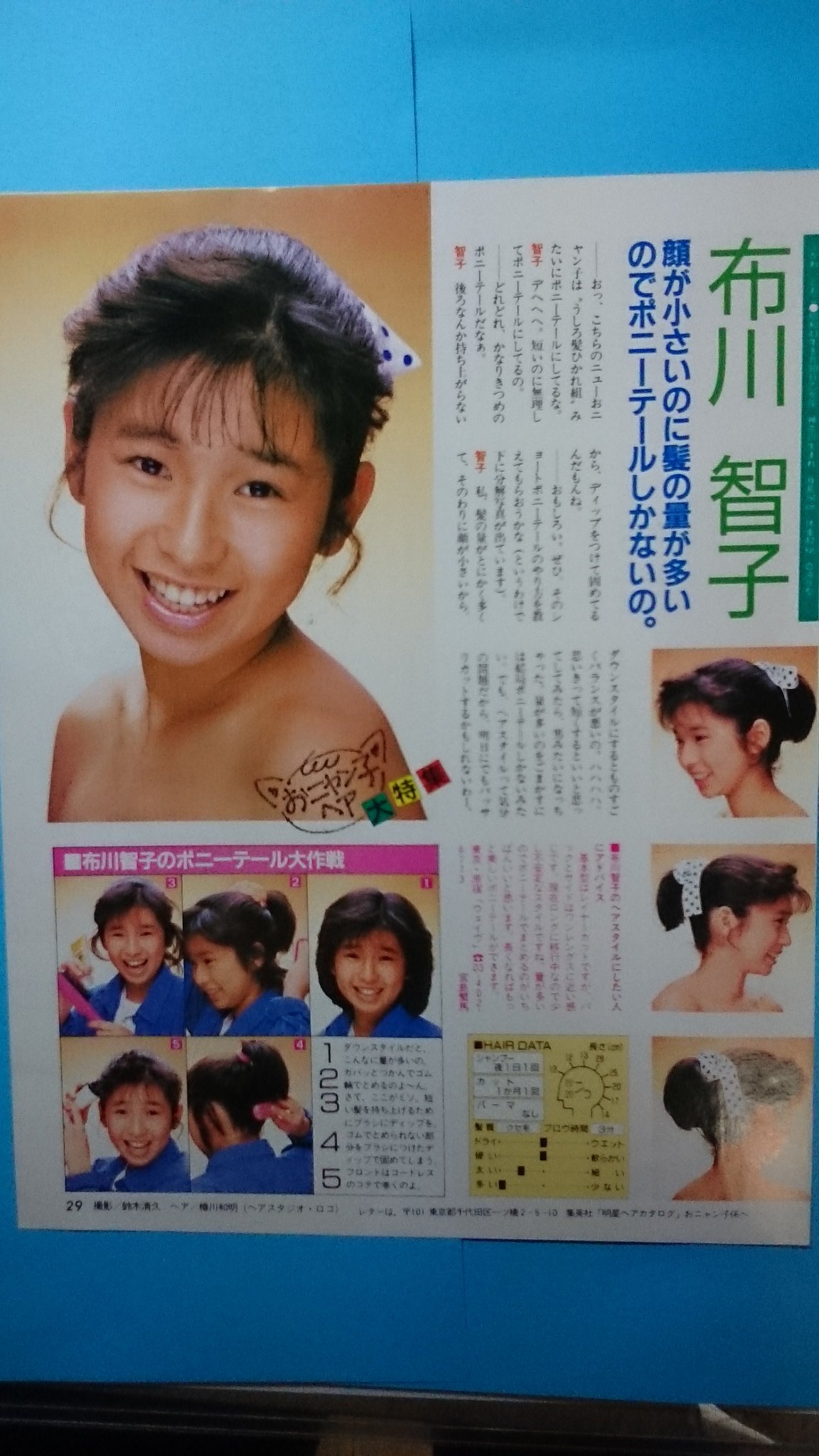 布川智子の現在と家族の真相｜元おニャン子の軌跡と転身劇