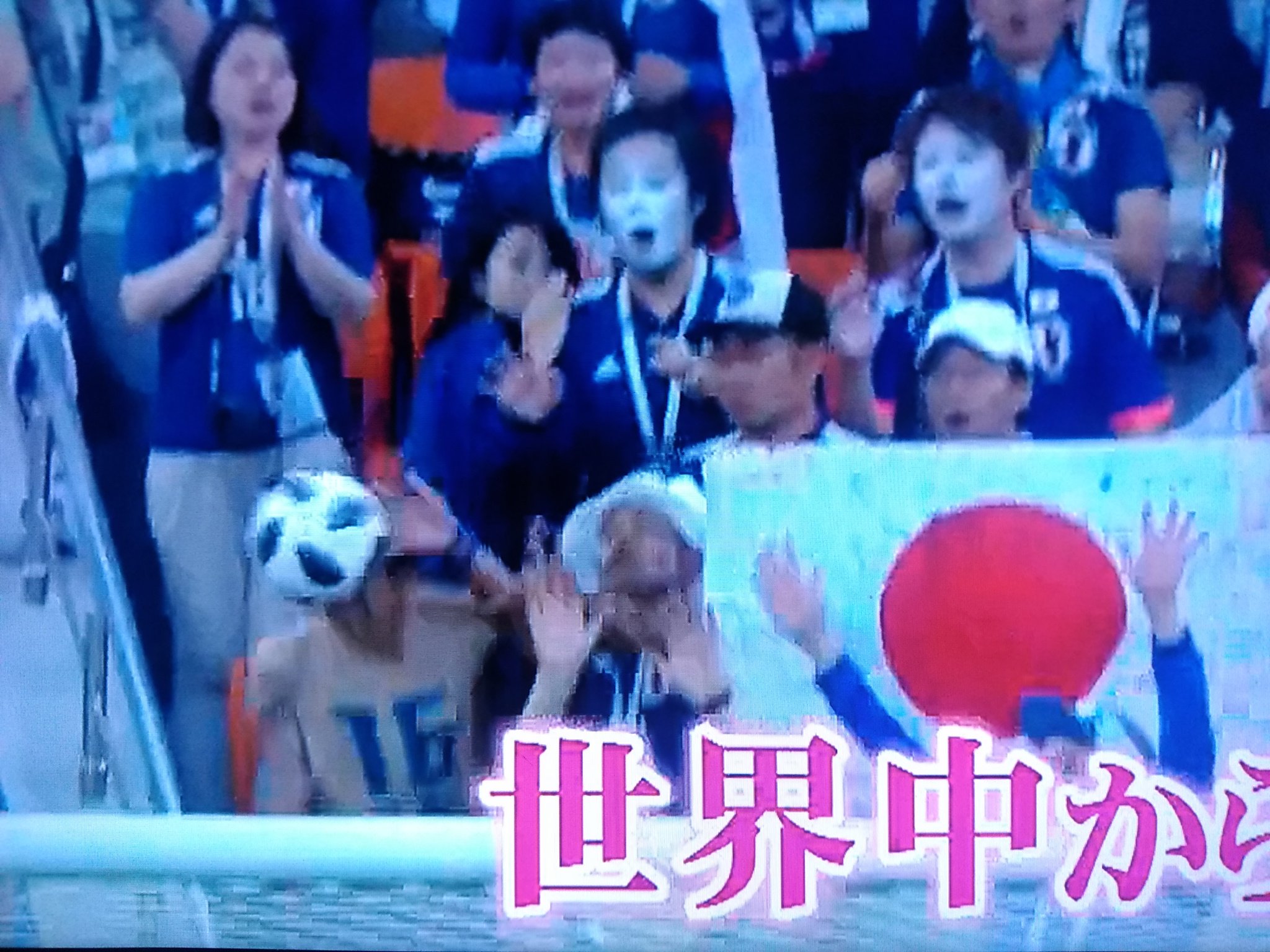 カカロニ菅谷のW杯神ヘディング真相！世界が絶賛した理由と現在