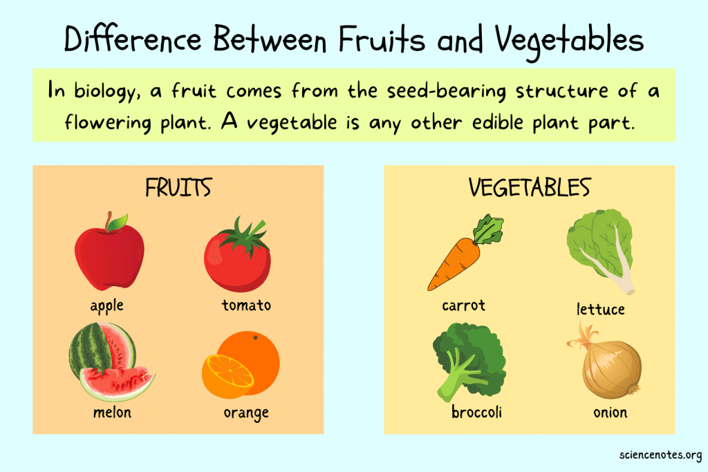 What's the Difference Between a Fruit and Vegetable