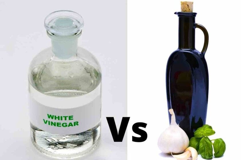 White Vinegar vs Distilled Vinegar