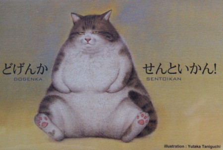【衝撃】 ど げんか せん と いかん 2026年最新プロフィール #944