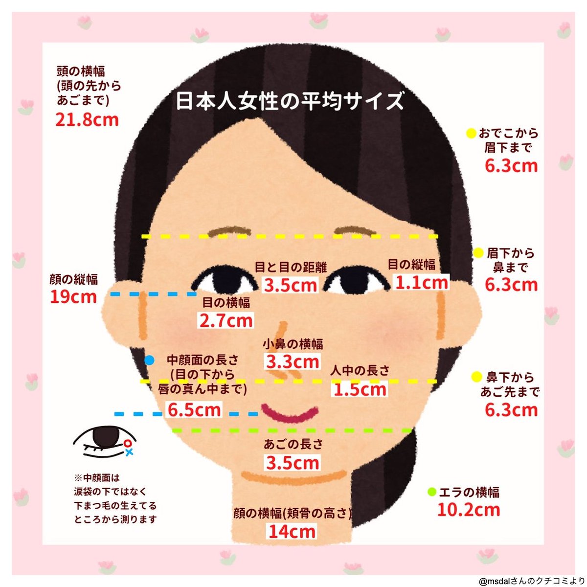 中顔面の長さは平均何Cm？理想の黄金比と面長を劇的解消する最新小顔術