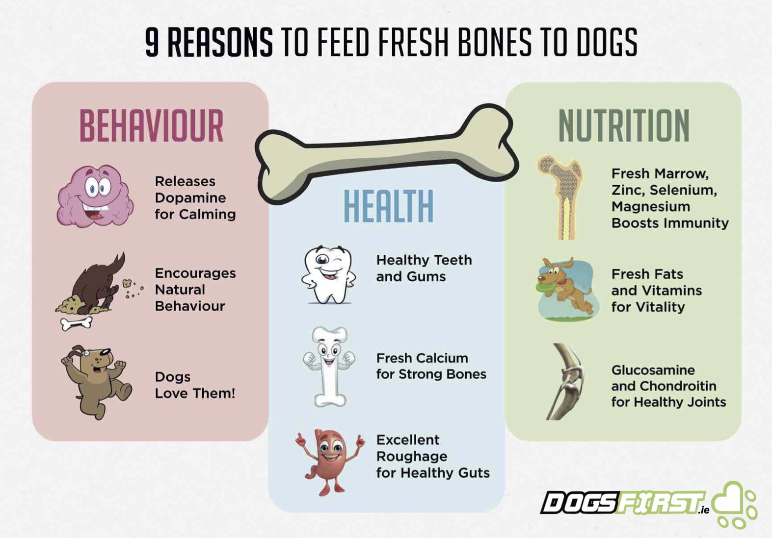 What Kinds of Bones Can Dogs Eat