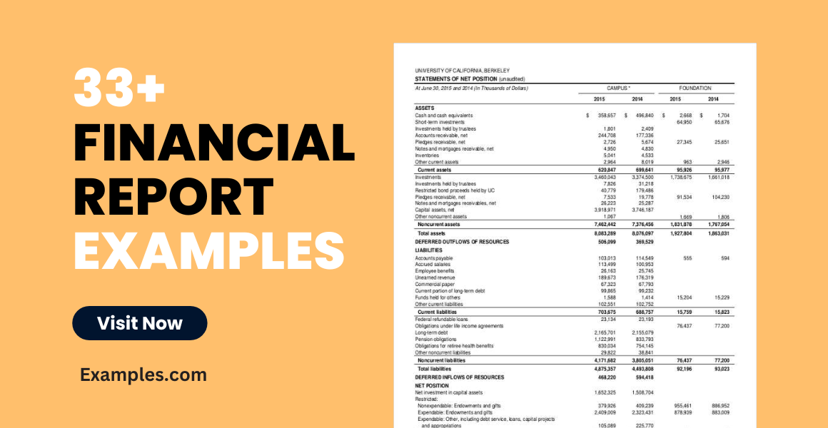 Financial Reports Examples