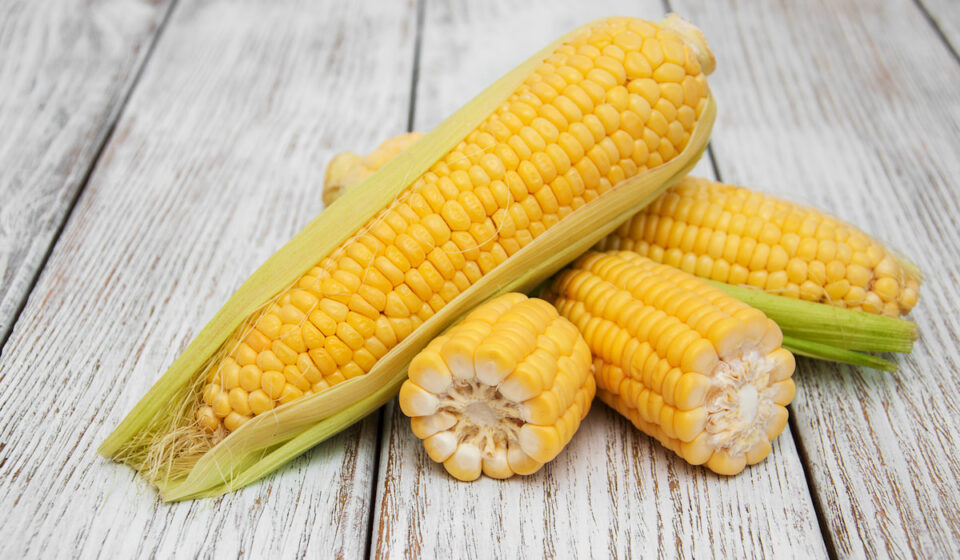How to Tell If Corn on the Cob Is Bad