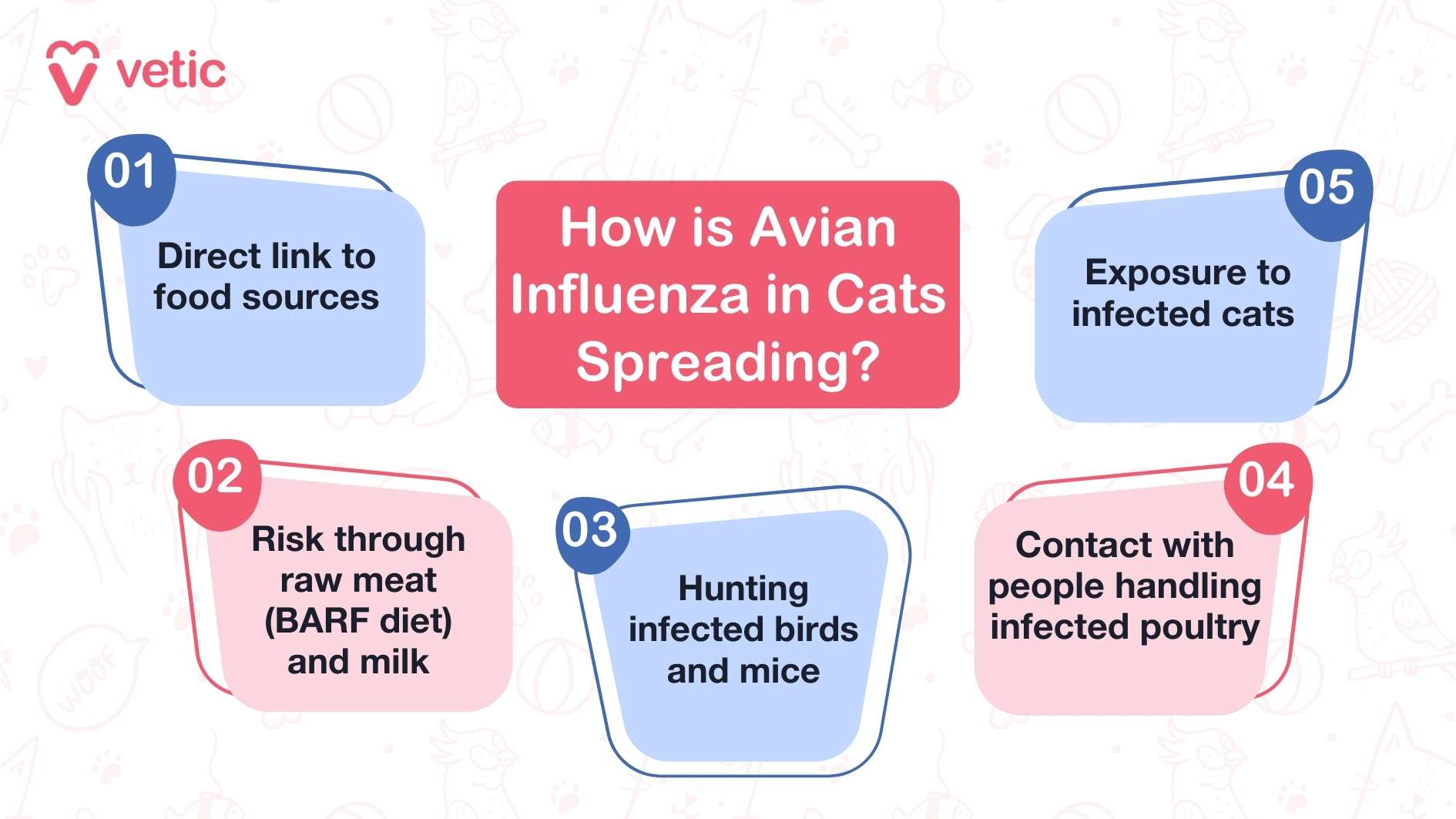 Can Cats Get Influenza a from Humans