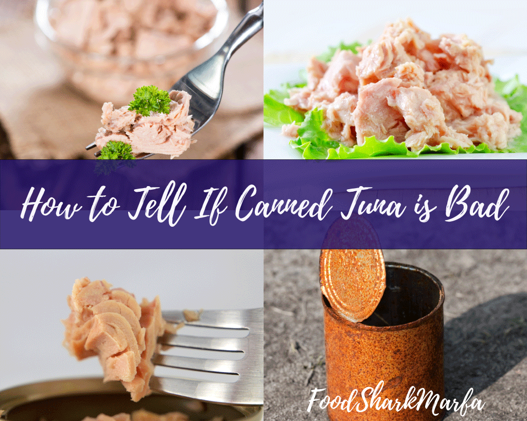 Is Canned Tuna Unhealthy