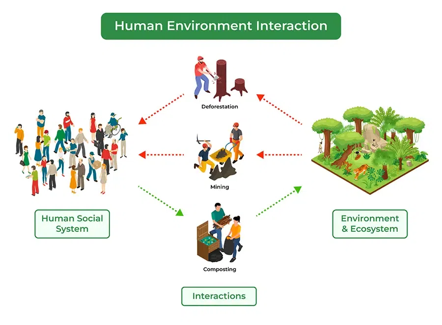Human Behavior in the Social Environment