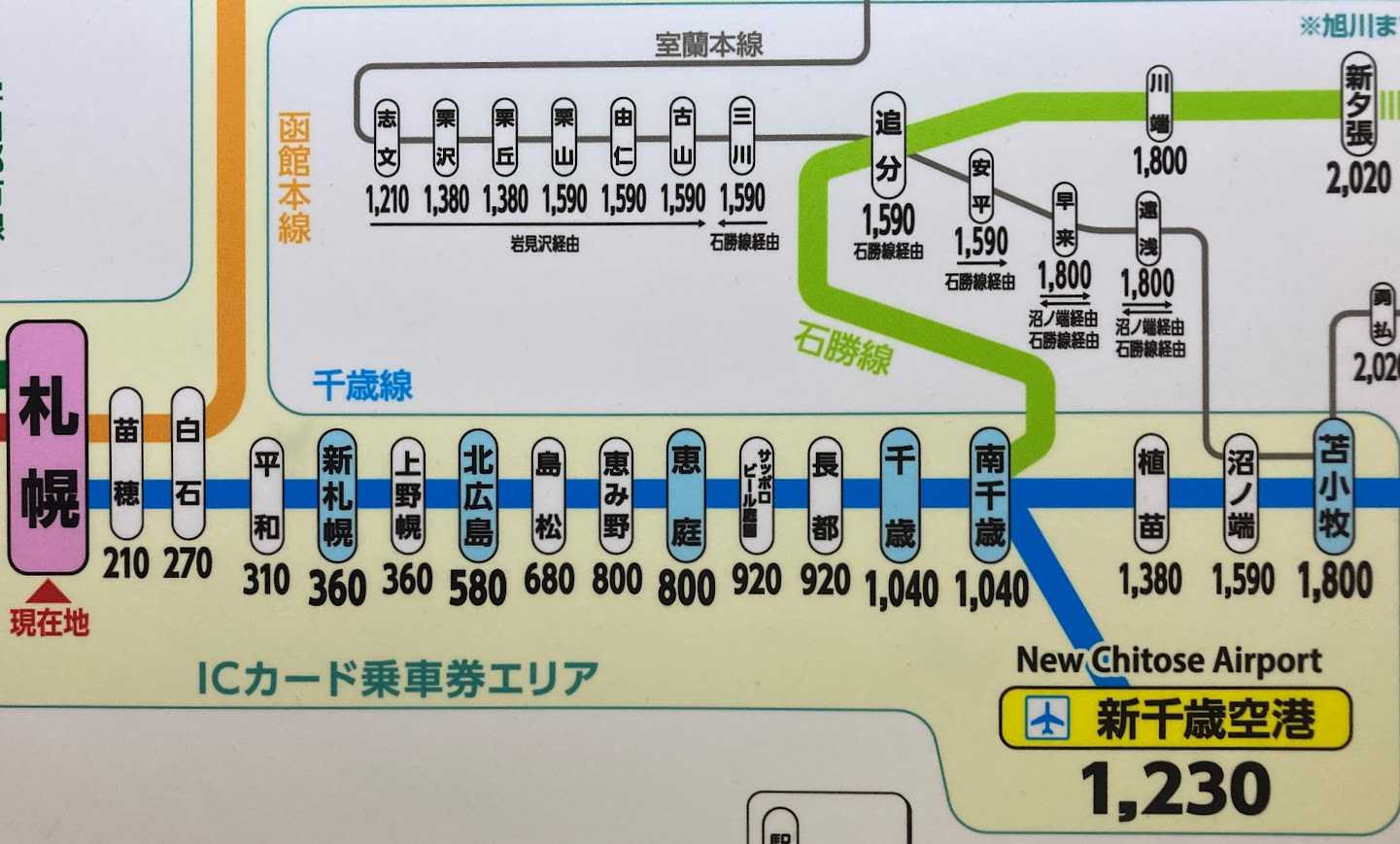 札幌新千歳空港の移動で損するな！Jrとバスを徹底比較【2026最新】
