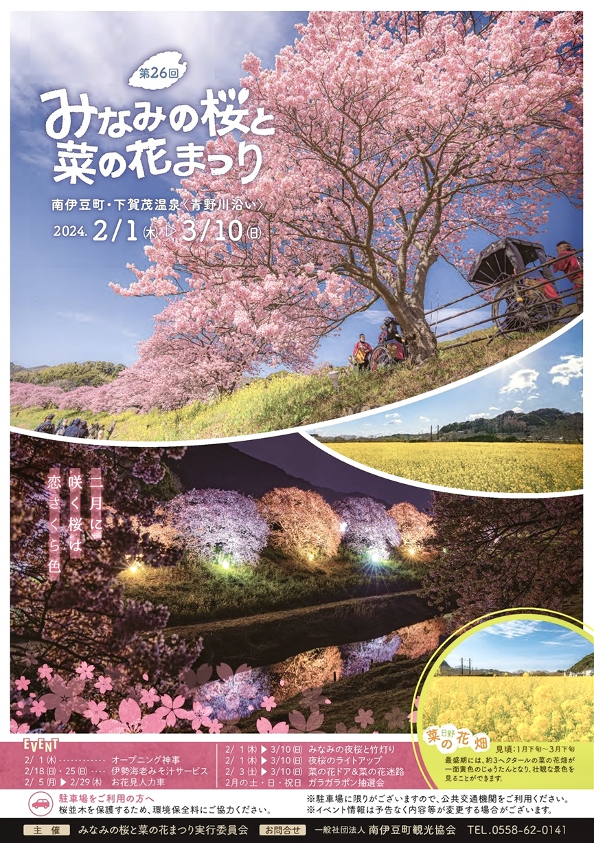 みなみの桜と菜の花まつり2026完全攻略！見頃と穴場・混雑回避術