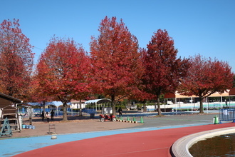 【プロフィール】 加須 は な さき 公園 ファン必見の最新情報 #809