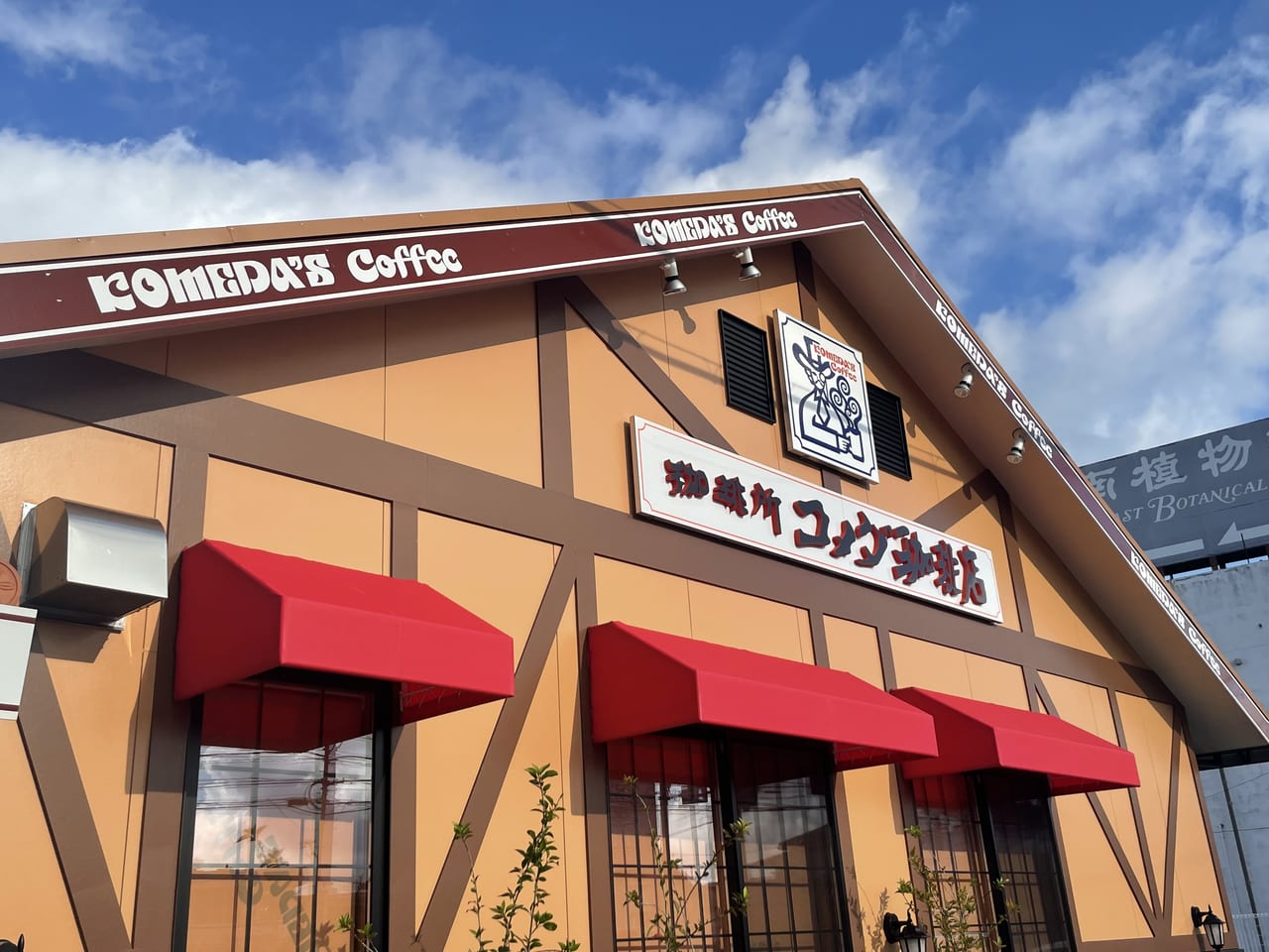コメダのモーニング何時まで？土日祝の注文限界と無料追加の裏ワザ