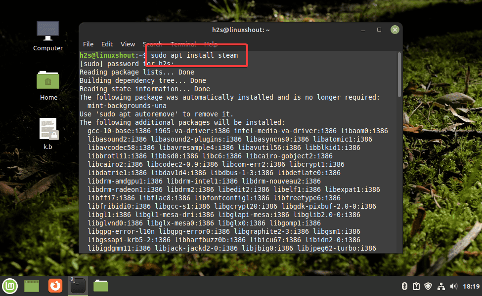 Steam Install Linux Mint
