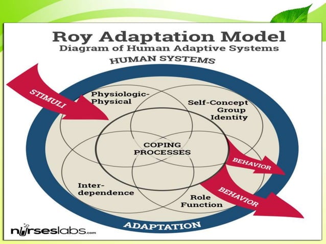 Roy's Adaptation Model Nursing Theory